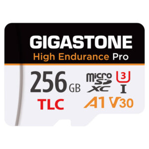 Gigastone GS-MSD-A1V30TLC-256GB-R TLC High Endurance Pro microSD Card (256 GB)